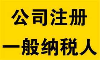 东莞代理工商注册与公司注册指南 : 软件开发企业的关键实践